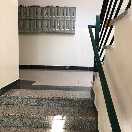 Sasa * Podgorica